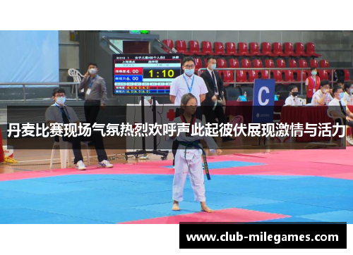 丹麦比赛现场气氛热烈欢呼声此起彼伏展现激情与活力